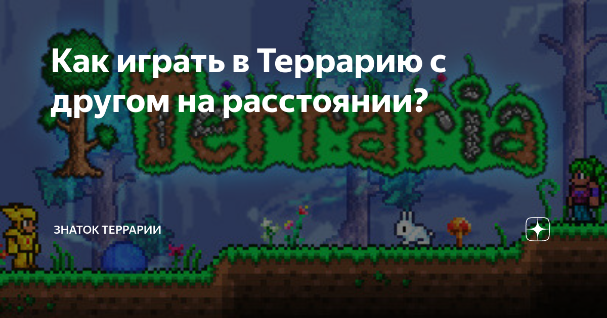 Как играть в террарию на пк пиратка. Факты о террарии. Как поиграть по сетсети в террарии. Читы на террарию. Террария мод на чит панель.