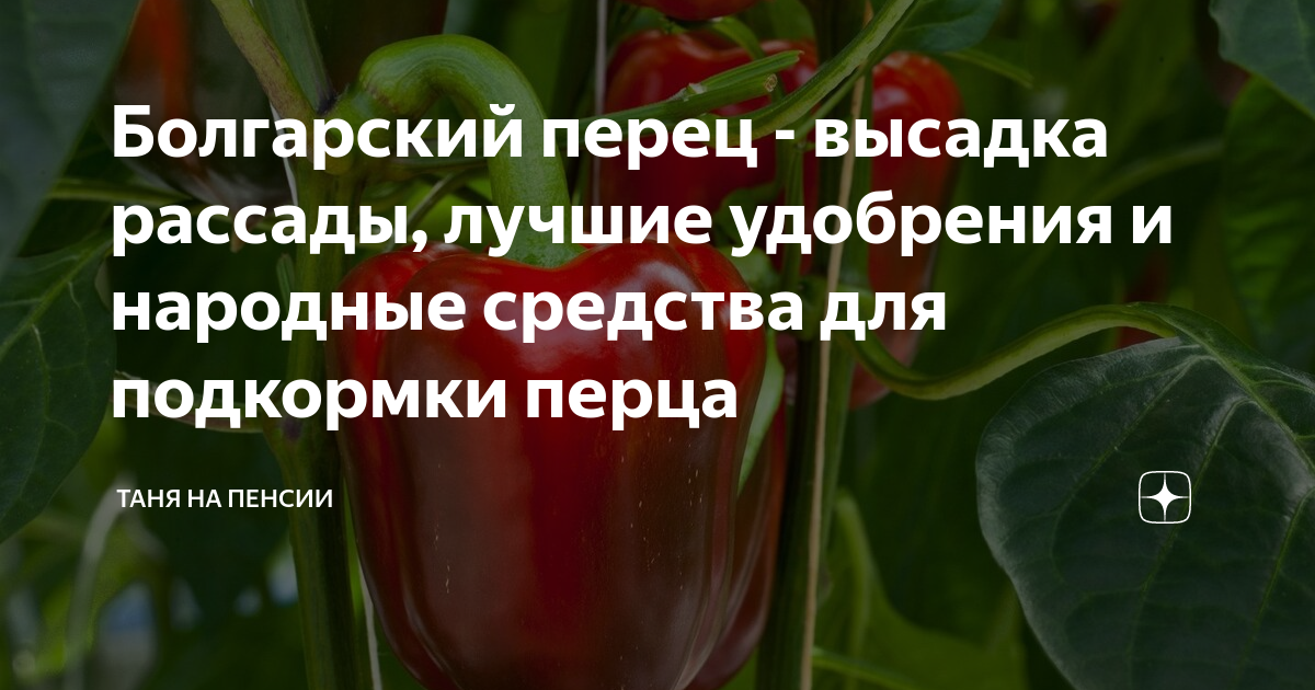 Удобрение для перца болгарского
