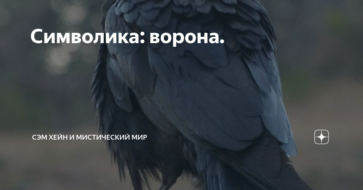 Имя значение ворон. Легенды о чёрном вороне. Образ вороны в русских народных сказках. Ворона символ чего. Ворон что символизирует птица.