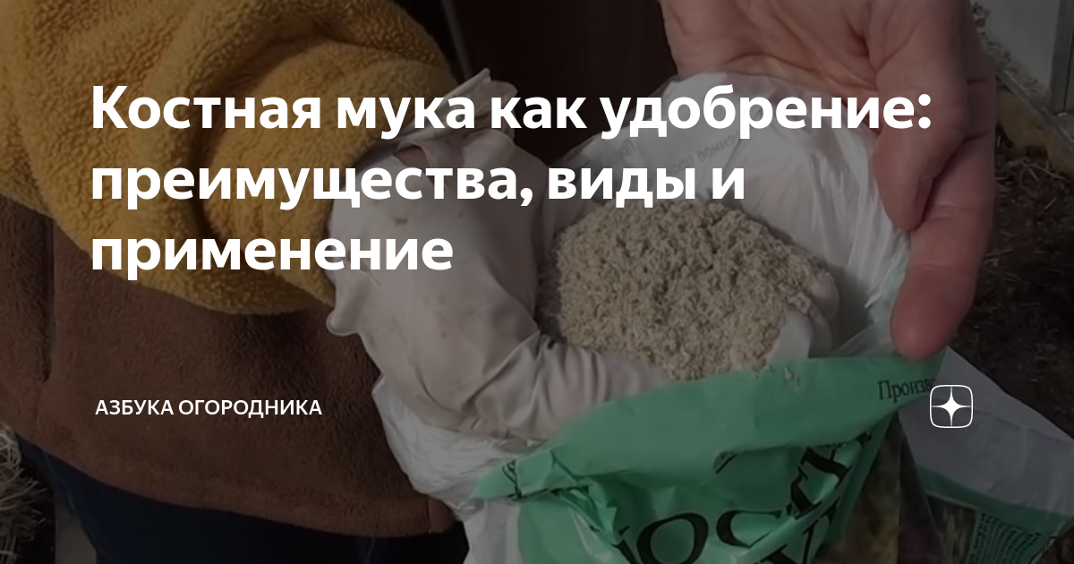 Как выглядит костная мука в реальной жизни