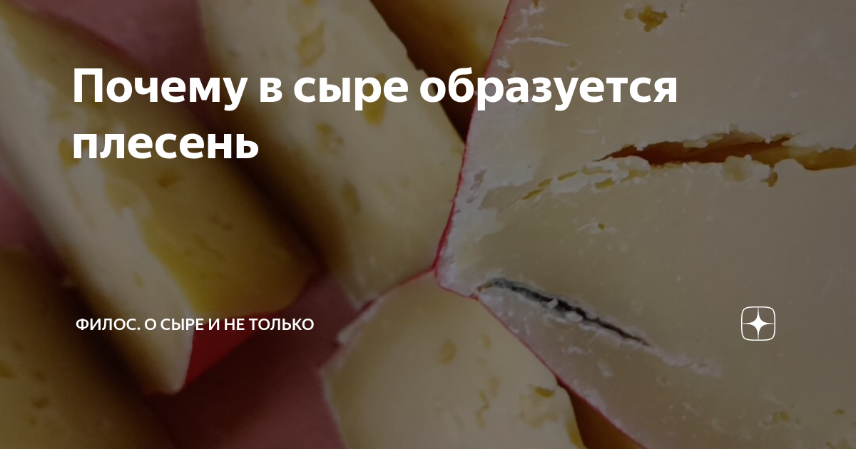 я считаю дырки в сыре