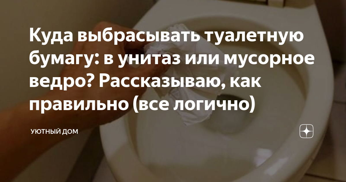 Туалетную бумагу в унитаз или в ведро. Можно ли бросать туалетную бумагу в унитаз. Дом закиданный туалетной бумагой. В унитаз кидать только туалетную бумагу.