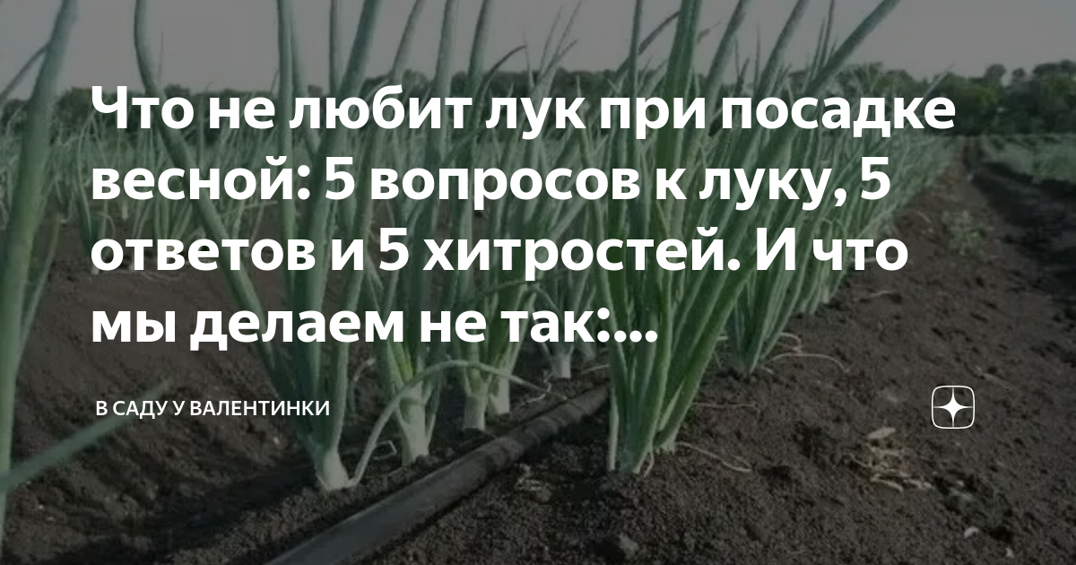 что делать чтоб не плакать от лука