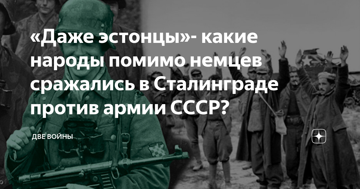 «Даже эстонцы»- какие народы помимо немцев сражались в Сталинграде ...