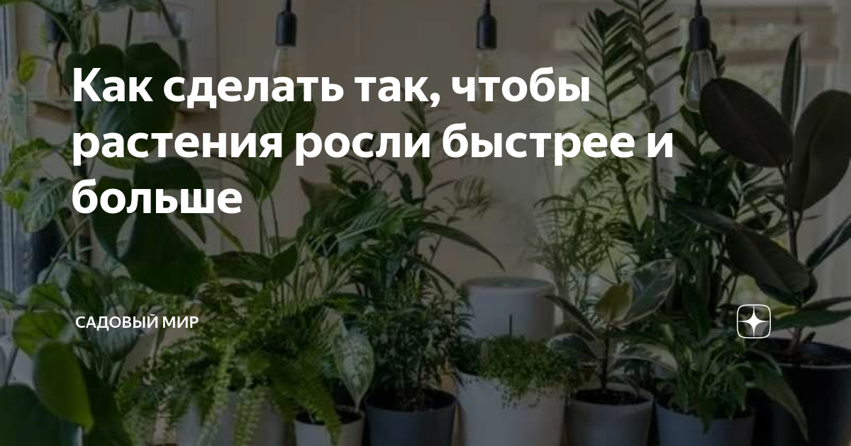 как сделать так чтобы плод не был крупным