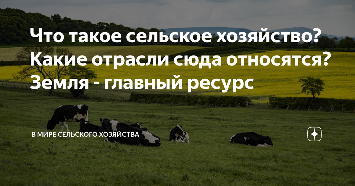 Что такое сельское хозяйство? Какие отрасли сюда относятся? Земля ...