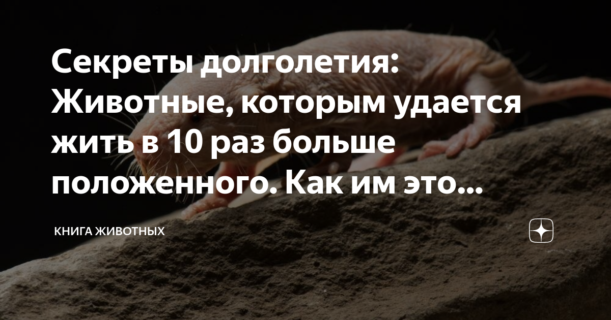 Ощущается 25. Ощущается 25