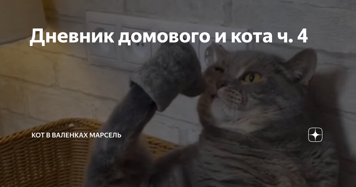Дневник домового и кота ч. 4 | Кот в валенках Марсель | Дзен
