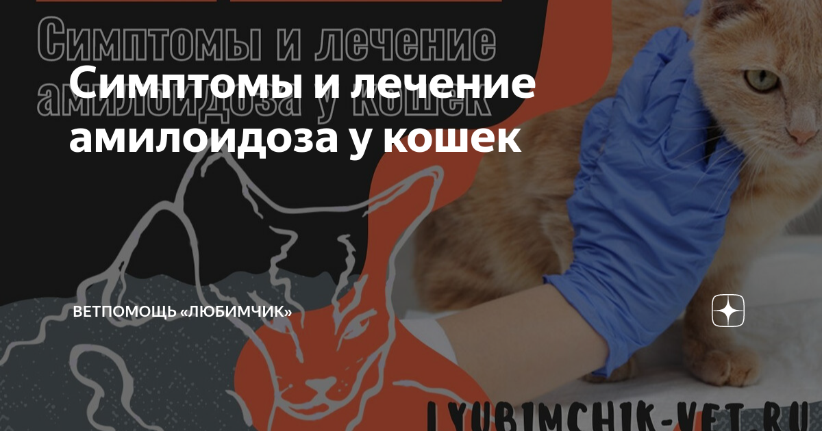 Отравления у кошек и собак