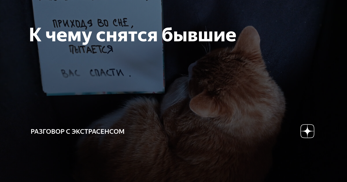 Бывший коллега во сне к чему. Бывший коллега во сне к чему. Бывший коллега во сне к чему. Бывший коллега во сне к чему. К чему снится видеть работу.
