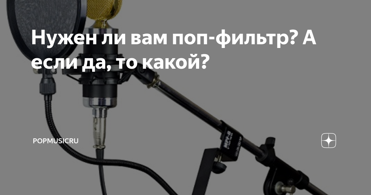 Нужен ли вам поп-фильтр? А если да, то какой? | PopMusicRu | Дзен