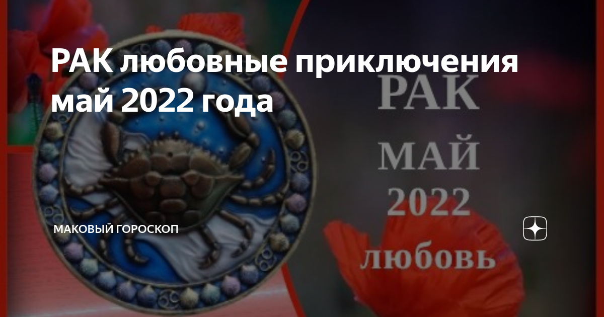 Ракка 2022