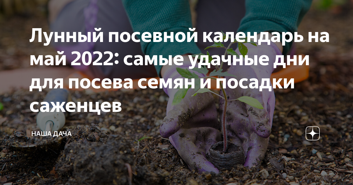 Лунный посевной календарь на май 2022: самые удачные дни для посева ...