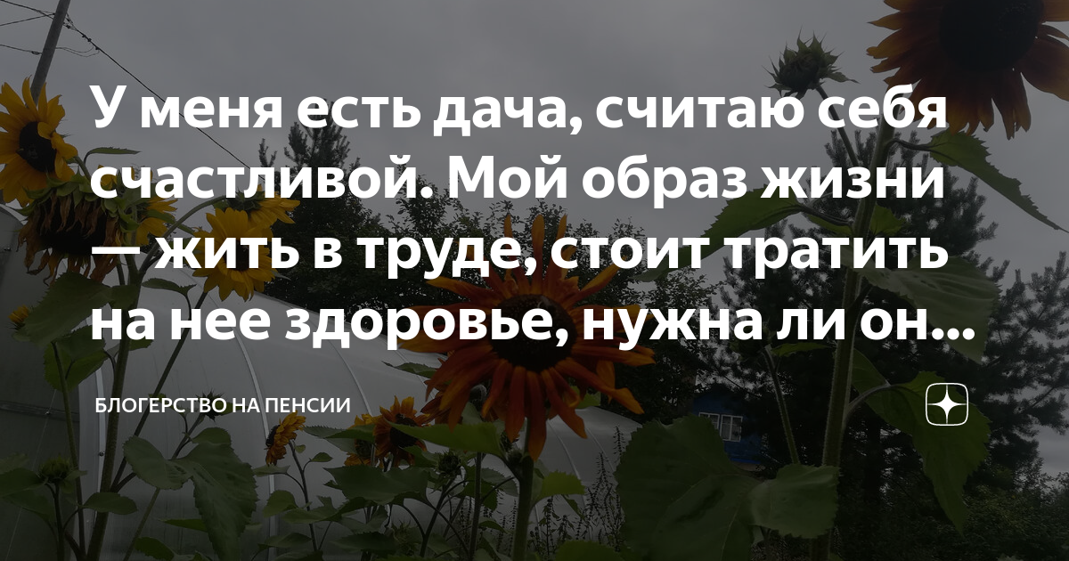 труд и отдых в моей жизни