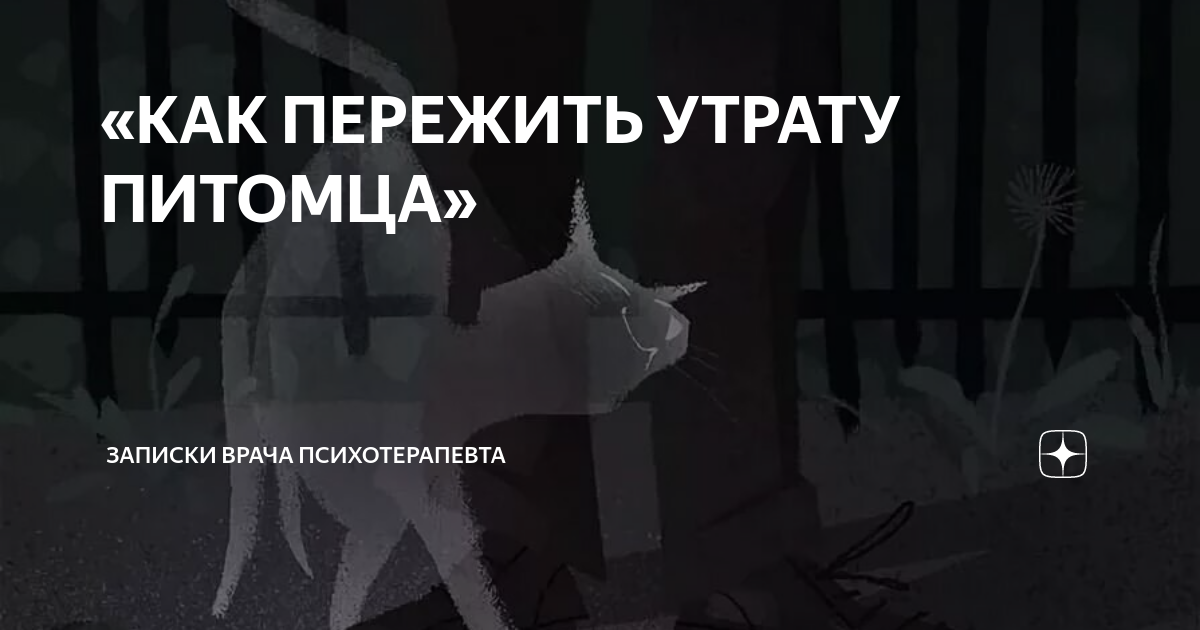 «КАК ПЕРЕЖИТЬ УТРАТУ ПИТОМЦА» | ЗАПИСКИ ВРАЧА ПСИХОТЕРАПЕВТА | Дзен