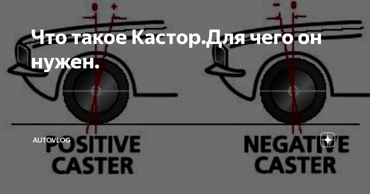 Что такое кастор. Что такое кастор