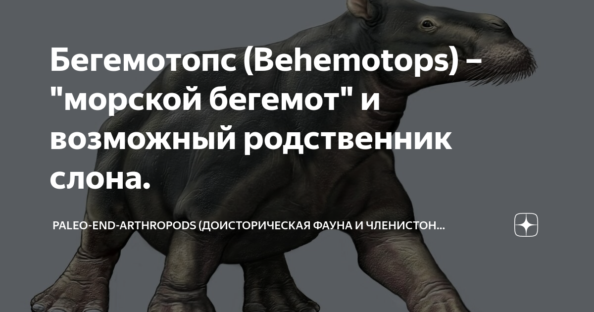 Бегемотопс (Behemotops) – "морской бегемот" и возможный родственник ...