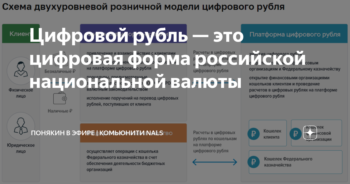 Приказ 340 о цифровом рубле. Формы цифрового рубля. Цифровой рубль. Статьи про цифровой рубль. Закон о цифровом рубле.