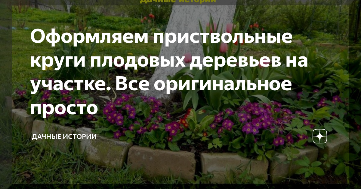 Оформляем приствольные круги плодовых деревьев на участке. Все .