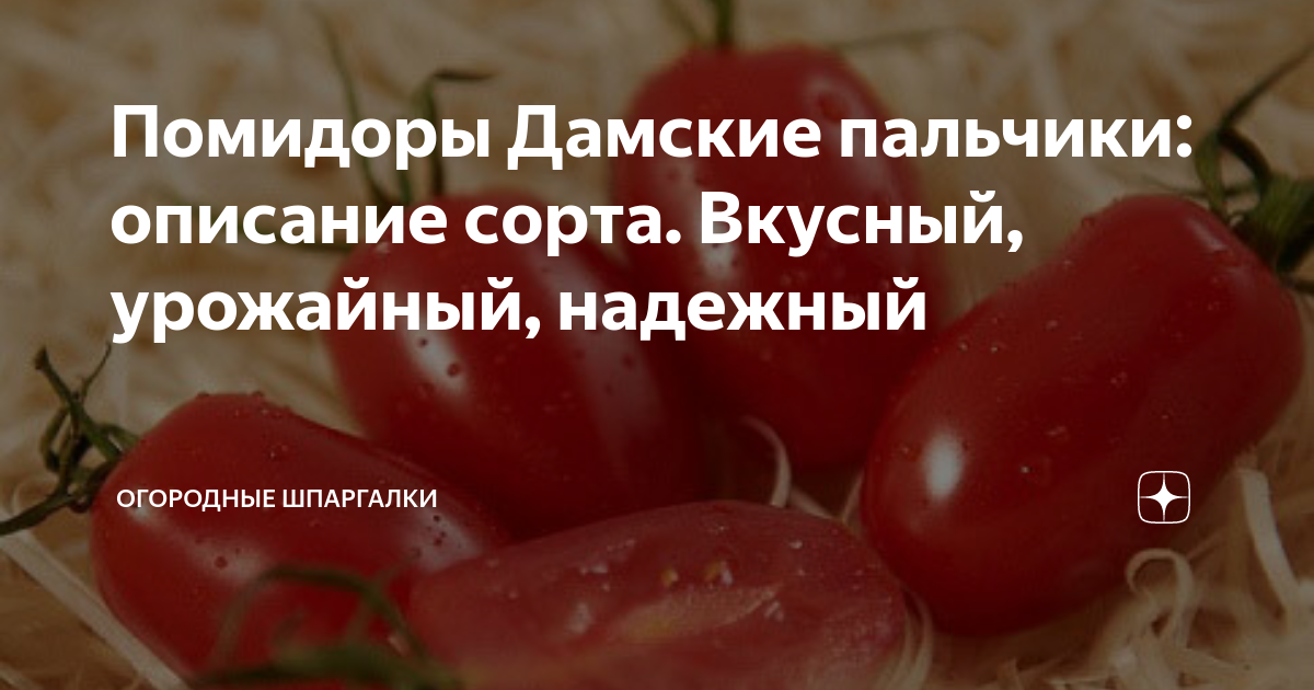 Земляника и клубника 7349525 - купить по выгодным ценам в интернет-магазине OZON