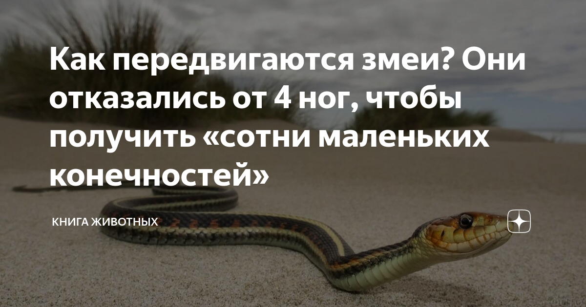 Пресмыкание