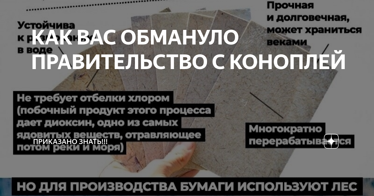 Учителя в экологическом проекте - ГУО «Средняя школа № 5 г. Жодино»