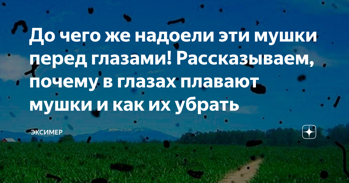 Как выглядят мушки перед глазами