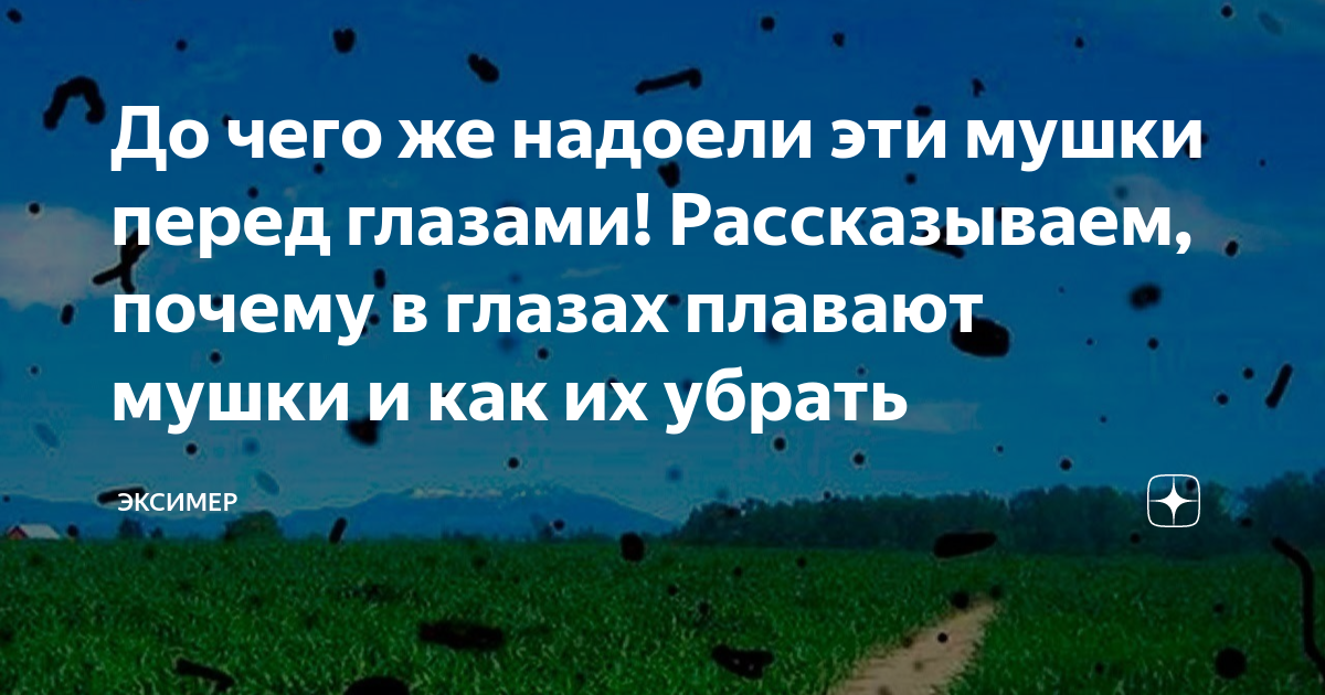 Плавающие «мушки», вспышки и черные точки в глазах