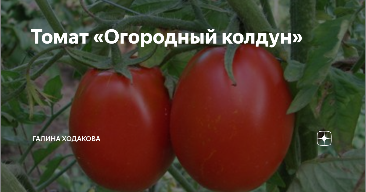 Огородный колдун
