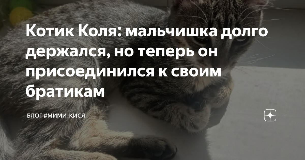 Смешные цитаты про бабушек. Samoj strasnij virus eto priviknut k celoveku. Оба мальчугана давно успели привыкнуть к этим. Оба мальчугана давно успели привыкнуть к этим. Тест по рассказу а.