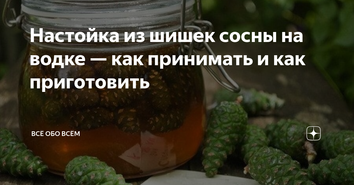 Сосновые шишки от инсульта: спиртовая настойка и другие лечебные рецепты - prachka-mira.ru