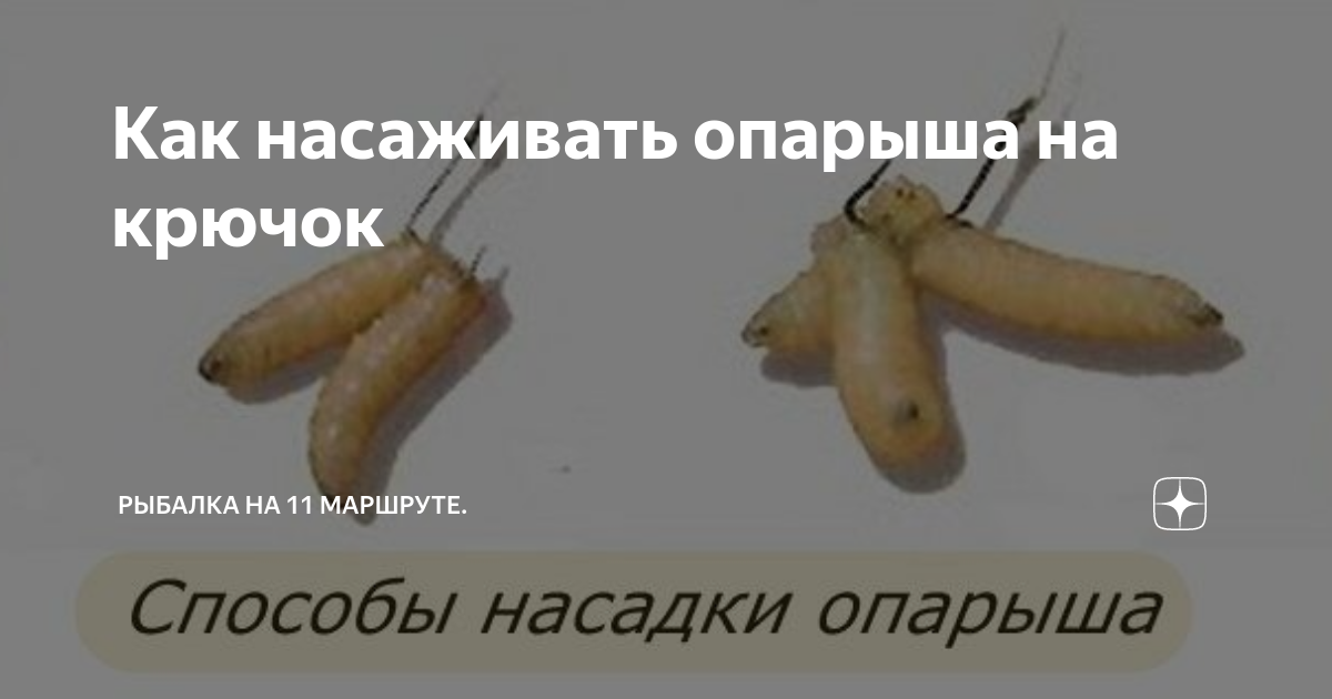 Как насадить опарыша видео. Как насадить опарыша видео