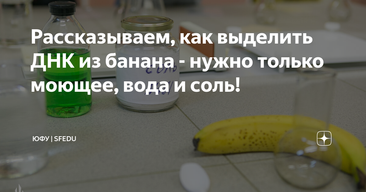 как выделить днк из слюны в домашних условиях
