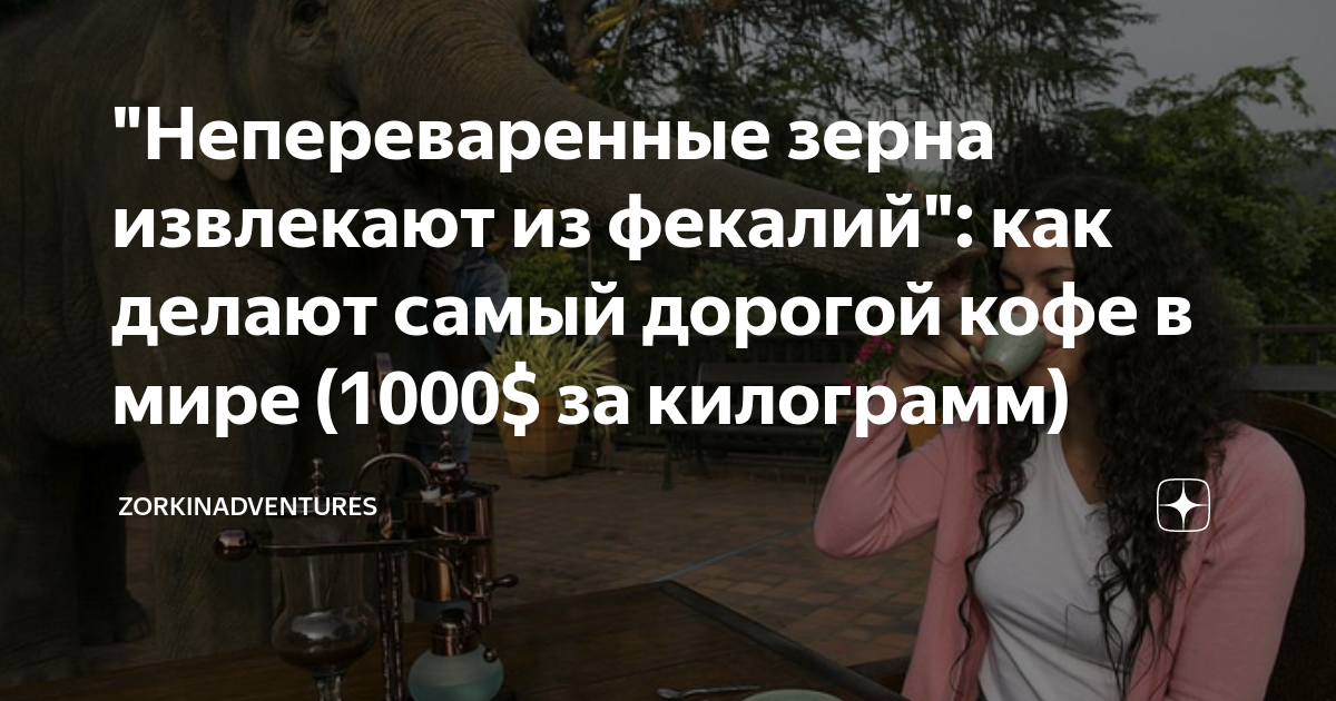 "Непереваренные зерна извлекают из фекалий": как делают самый дорогой ...