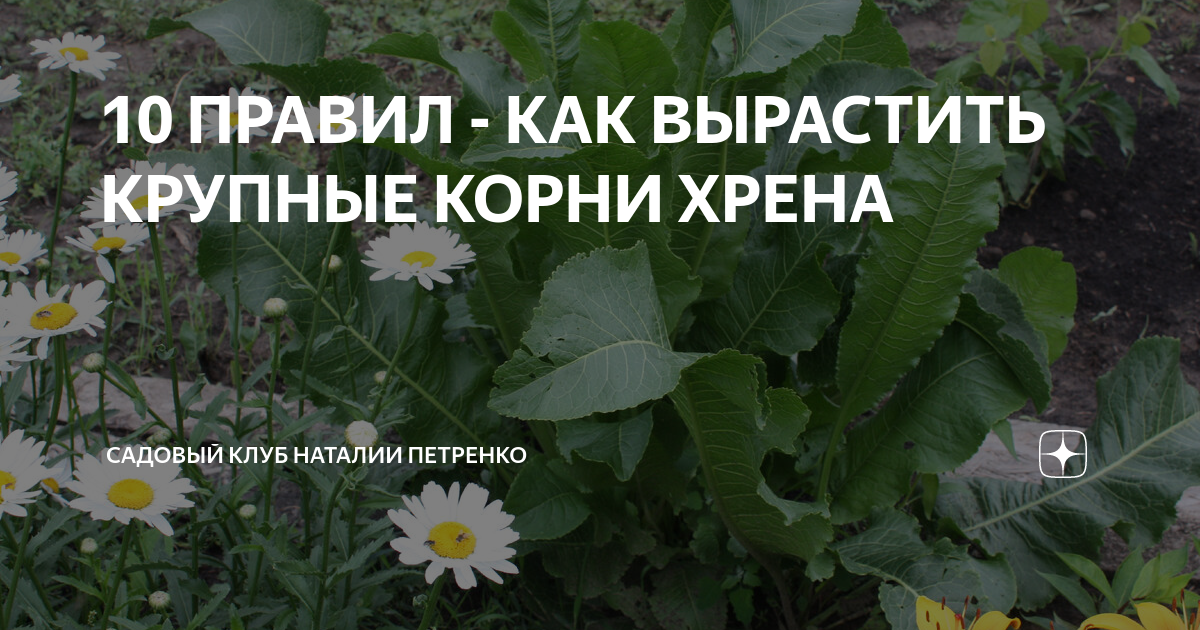 как сделать объем у корней