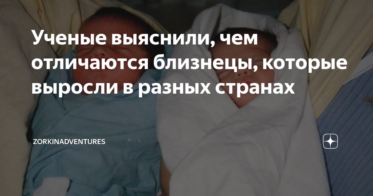 близнецы и рыбы совместимость форум