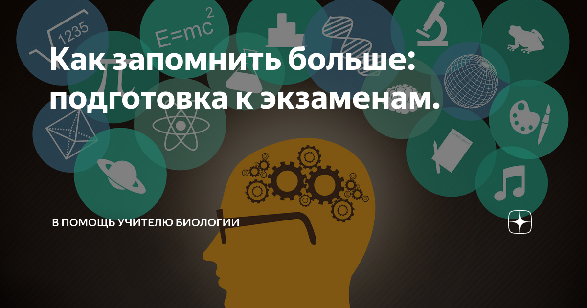 Как улучшить память в возрасте. Способы улучшения памяти человека. как улучшить память картинки.