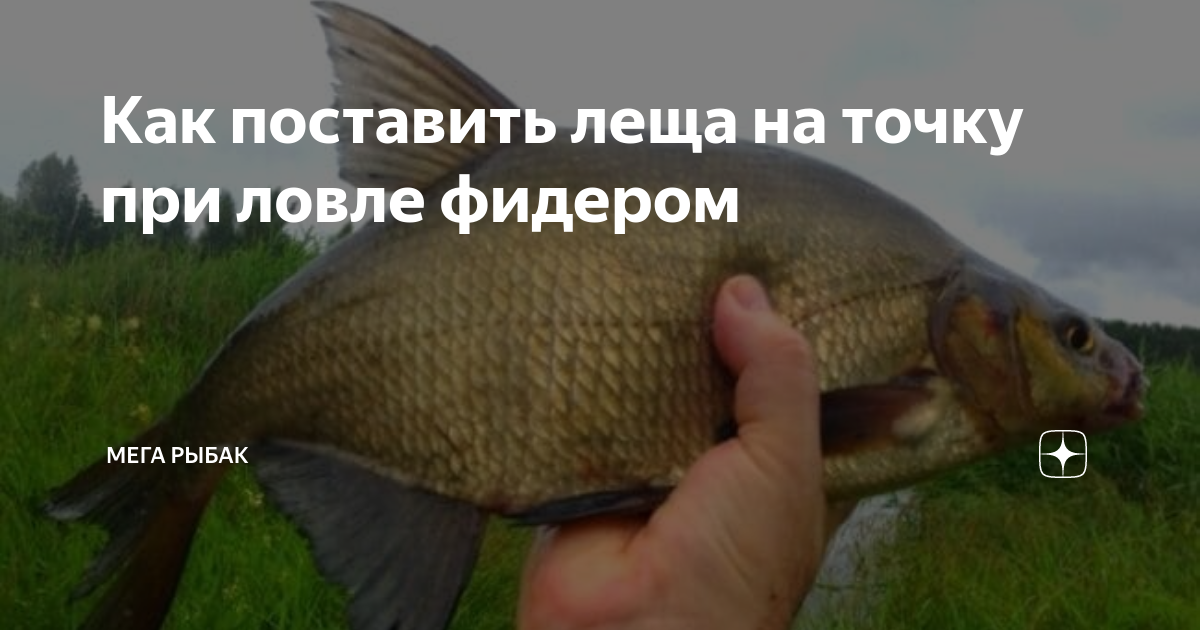 как оснастить фидер на леща