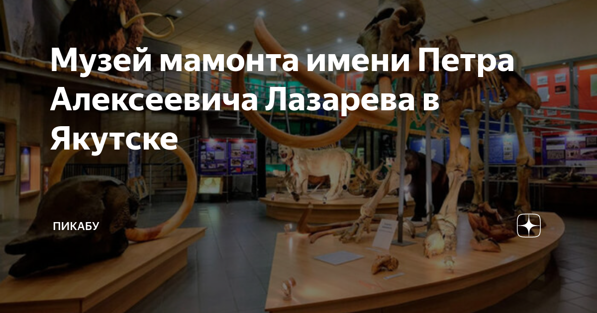 Музей мамонта имени Петра Алексеевича Лазарева в Якутске | Пикабу | Дзен