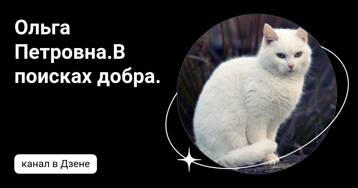 Делающий добро дзен