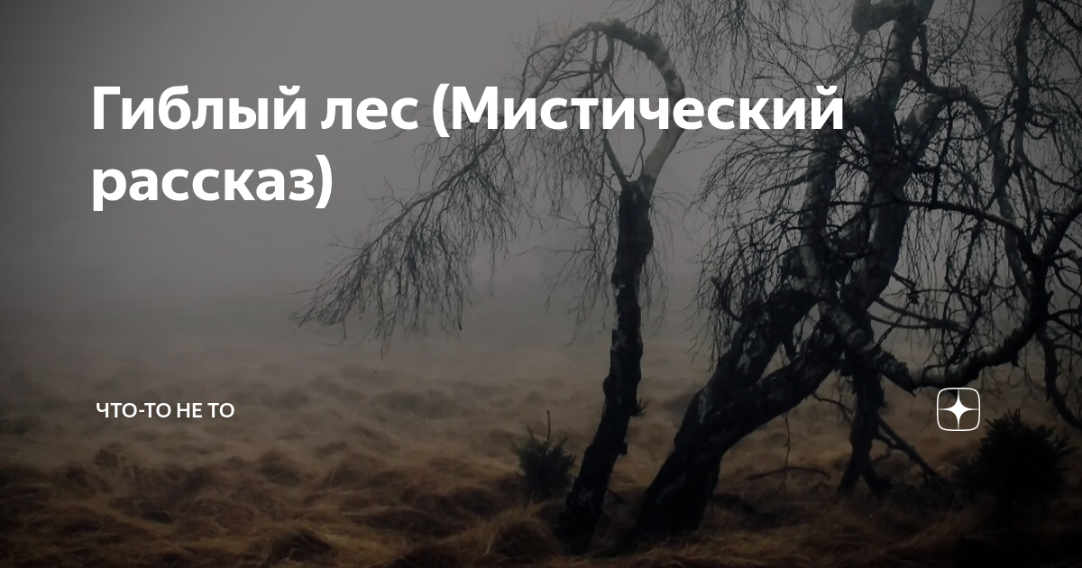 рассказ снегирёва кто сажает лес