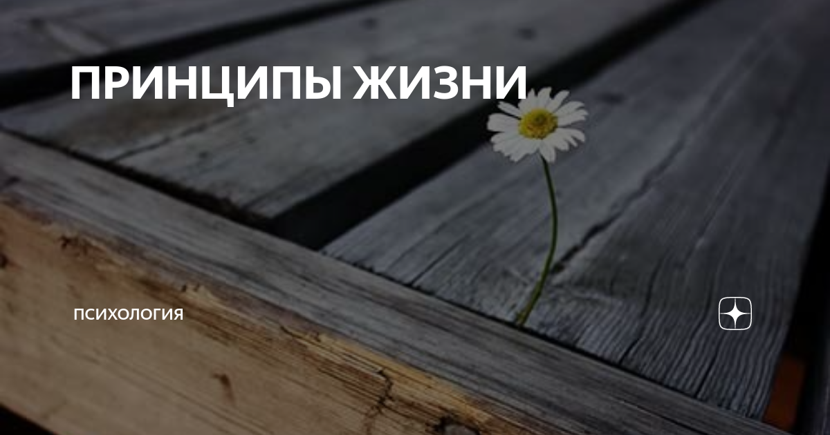 Ваши принципы в жизни