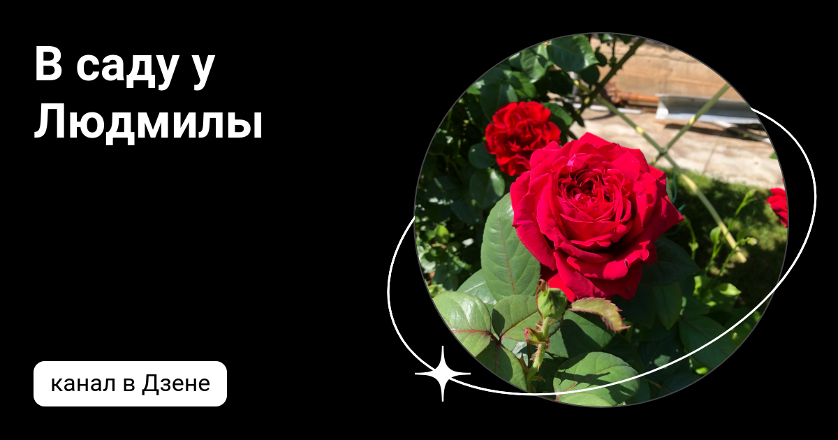 Канал людмилы. Канал людмилы. Канал людмилы. Канал людмилы. Канал людмилы.
