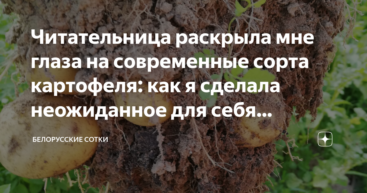 Содержание крахмала