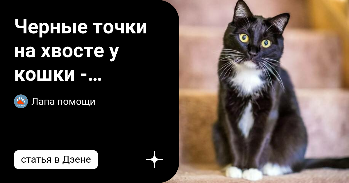 Применение антипаразитарных средств