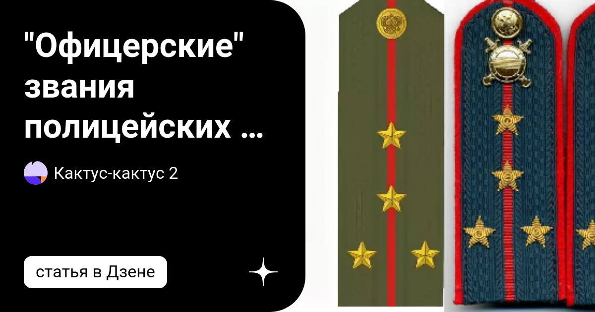 Полицейские звания. Офицерские звания полиции Италии. Полицейские чины учебное пособие. Младшие звания в полиции