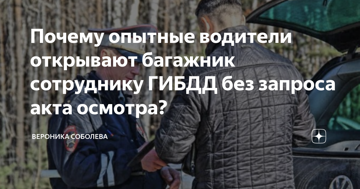 Гибдд проверяет у водителей