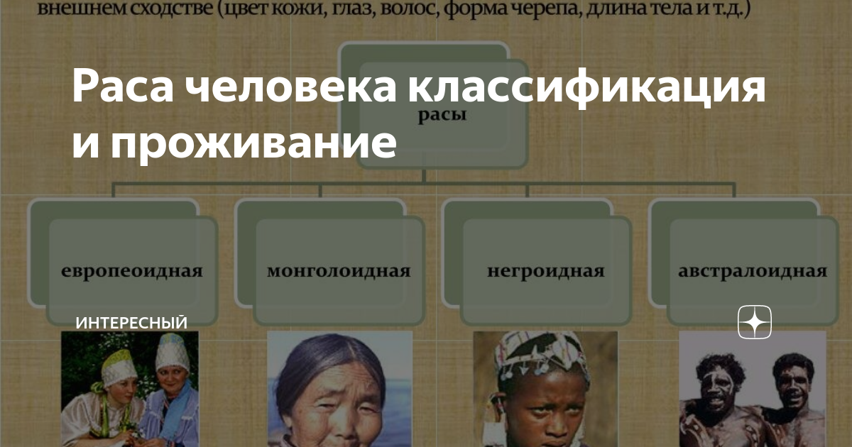 Виды негроидной расы. Расы людей. Четыре основные расы людей. Три основные расы людей. Группы рас человека