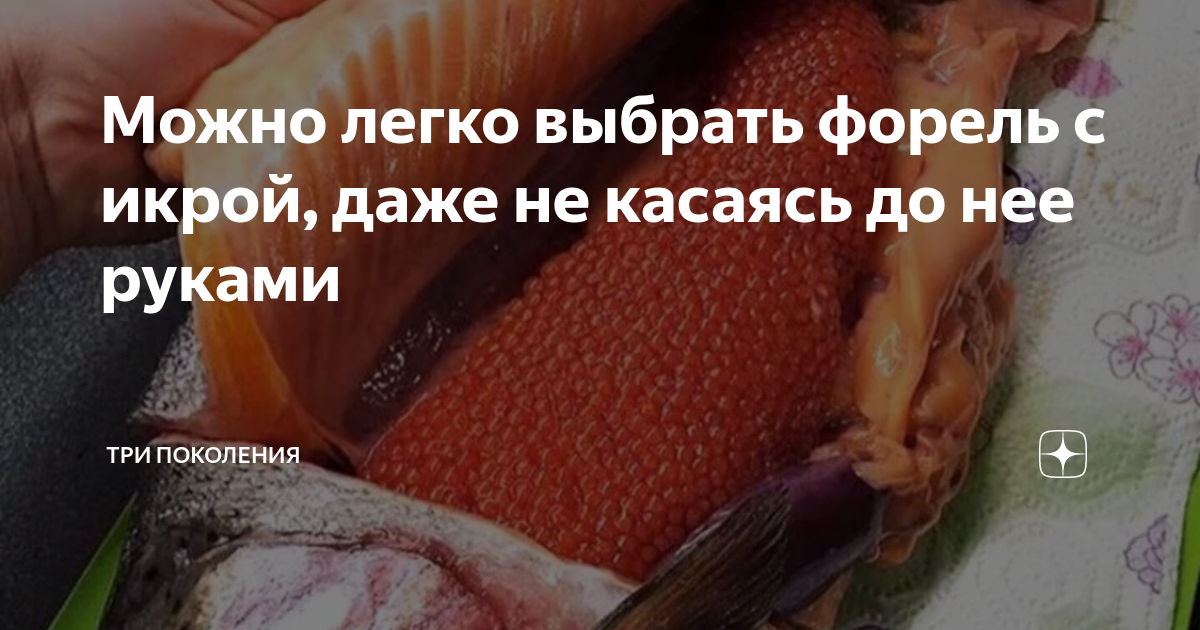 Можно легко выбрать форель с икрой, даже не касаясь до нее руками | ТРИ ...