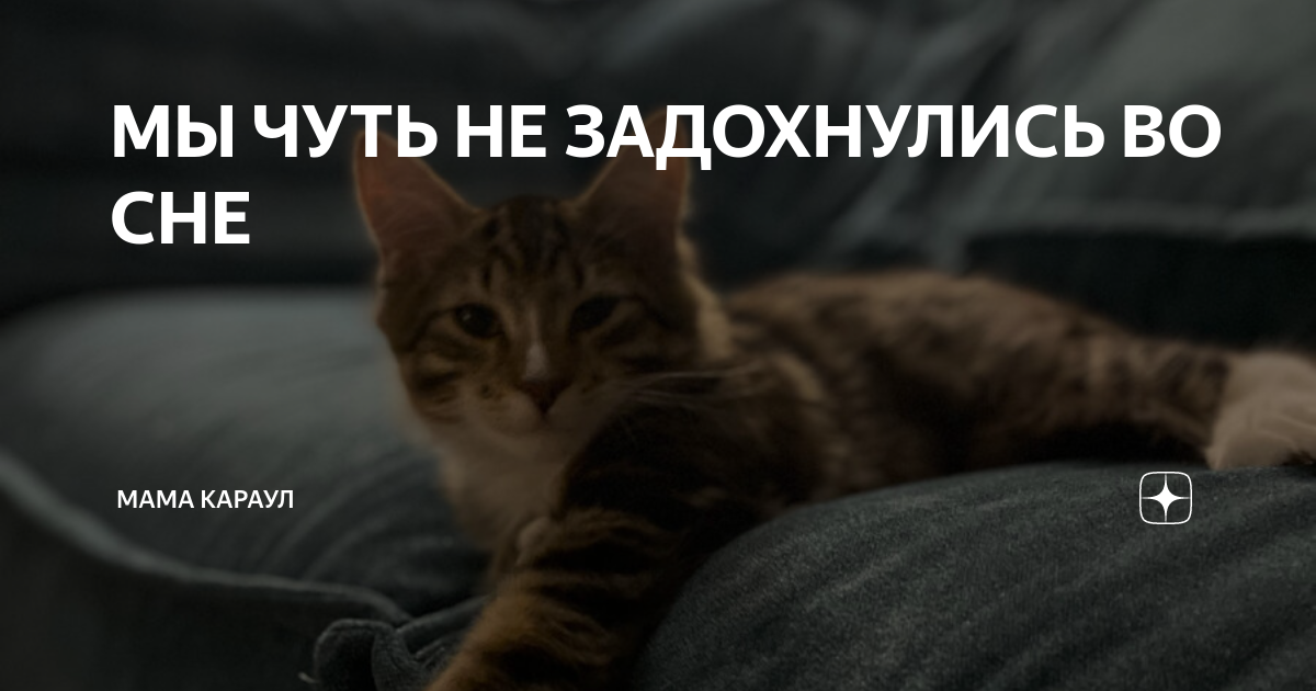 МЫ ЧУТЬ НЕ ЗАДОХНУЛИСЬ ВО СНЕ | Мама караул | Дзен